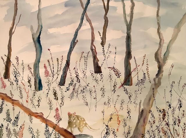 Habitats exhibition coming&nbsp;soon